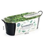 Radis et Capucine - Jardinière 3 aromates - Basilic - Coriandre - Thym - face recto